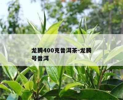 龙腾400克普洱茶-龙腾号普洱