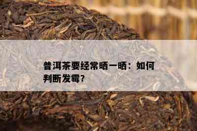 普洱茶要经常晒一晒：如何判断发霉？