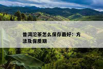 普洱沱茶怎么保存更好：方法及保质期