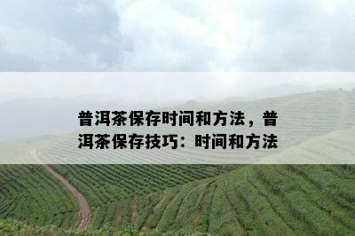 普洱茶保存时间和方法，普洱茶保存技巧：时间和方法