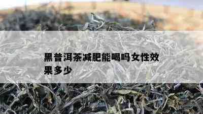 黑普洱茶减肥能喝吗女性效果多少