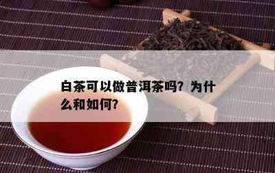 白茶可以做普洱茶吗？为什么和如何？