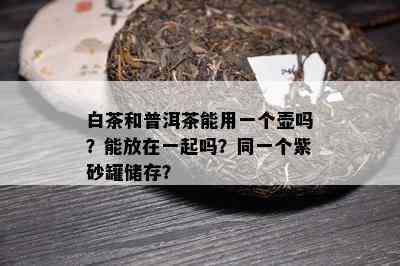 白茶和普洱茶能用一个壶吗？能放在一起吗？同一个紫砂罐储存？