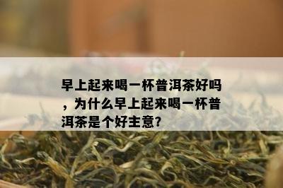 早上起来喝一杯普洱茶好吗，为什么早上起来喝一杯普洱茶是个好主意？