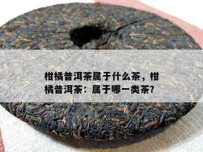 柑橘普洱茶属于什么茶，柑橘普洱茶：属于哪一类茶？