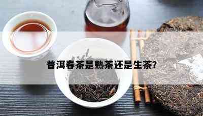 普洱春茶是熟茶还是生茶？