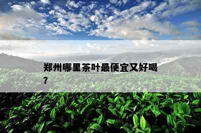 郑州哪里茶叶更便宜又好喝？