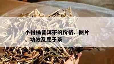 小柑橘普洱茶的价格、图片、功效及属于茶