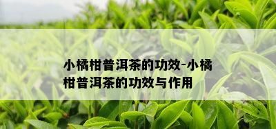 小橘柑普洱茶的功效-小橘柑普洱茶的功效与作用