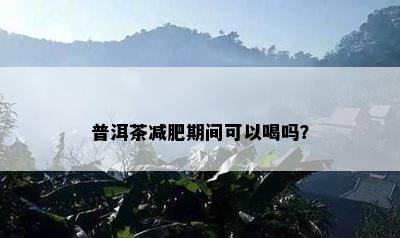 普洱茶减肥期间可以喝吗？