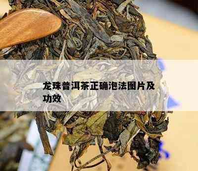 龙珠普洱茶正确泡法图片及功效