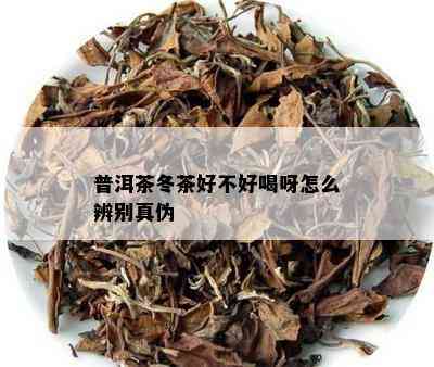 普洱茶冬茶好不好喝呀怎么辨别真伪