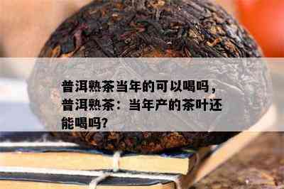 普洱熟茶当年的可以喝吗，普洱熟茶：当年产的茶叶还能喝吗？