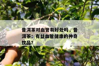 普洱茶对血管有好处吗，普洱茶：有益血管健康的神奇饮品？