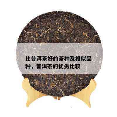 比普洱茶好的茶种及相似品种，普洱茶的优劣比较