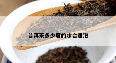 普洱茶多少度的水合适泡