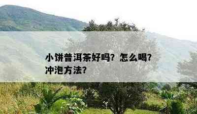 小饼普洱茶好吗？怎么喝？冲泡方法？