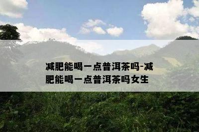 减肥能喝一点普洱茶吗-减肥能喝一点普洱茶吗女生