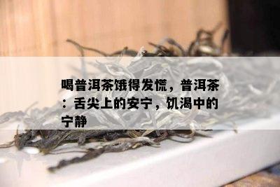 喝普洱茶饿得发慌，普洱茶：舌尖上的安宁，饥渴中的宁静