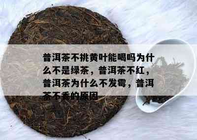 普洱茶不挑黄叶能喝吗为什么不是绿茶，普洱茶不红，普洱茶为什么不发霉，普洱茶不香的原因