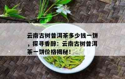 云南古树普洱茶多少钱一饼，探寻香醇：云南古树普洱茶一饼价格揭秘！