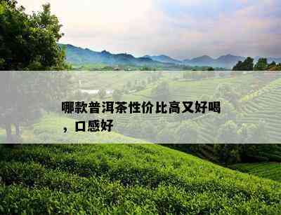 哪款普洱茶性价比高又好喝，口感好