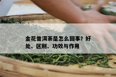 金花普洱茶是怎么回事？好处、区别、功效与作用