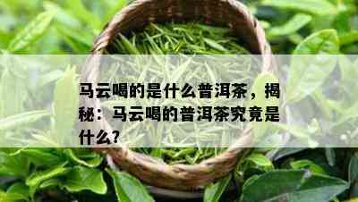 马云喝的是什么普洱茶，揭秘：马云喝的普洱茶究竟是什么？