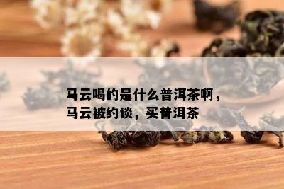 马云喝的是什么普洱茶啊，马云被约谈，买普洱茶