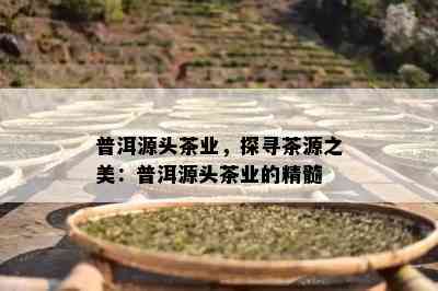 普洱源头茶业，探寻茶源之美：普洱源头茶业的精髓