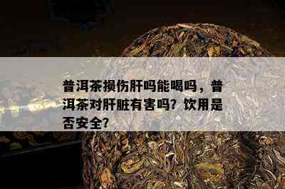 普洱茶损伤肝吗能喝吗，普洱茶对肝脏有害吗？饮用是否安全？