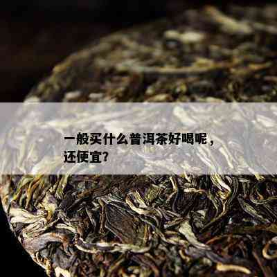 一般买什么普洱茶好喝呢，还便宜？