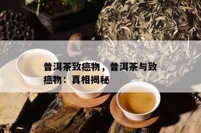 普洱茶致癌物，普洱茶与致癌物：真相揭秘