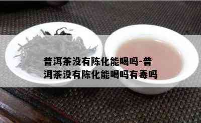 普洱茶没有陈化能喝吗-普洱茶没有陈化能喝吗有吗