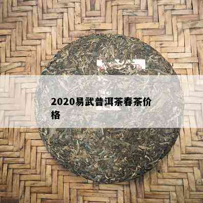 2020易武普洱茶春茶价格