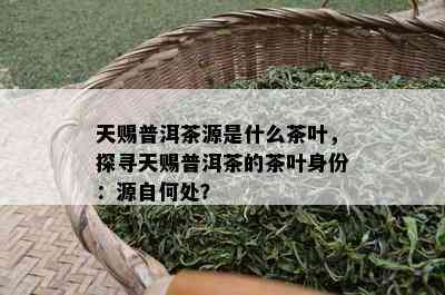 天赐普洱茶源是什么茶叶，探寻天赐普洱茶的茶叶身份：源自何处？