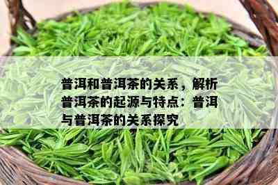 普洱和普洱茶的关系，解析普洱茶的起源与特点：普洱与普洱茶的关系探究