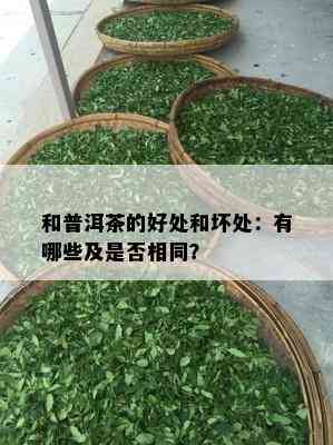 和普洱茶的好处和坏处：有哪些及是否相同？