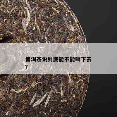 普洱茶说到底能不能喝下去？