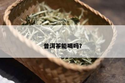 普洱茶能喝吗？