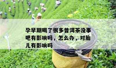 孕早期喝了很多普洱茶没事吧有影响吗，怎么办，对胎儿有影响吗