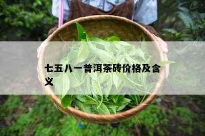 七五八一普洱茶砖价格及含义