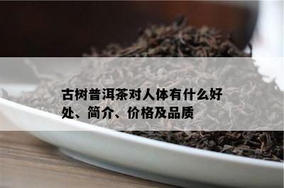 古树普洱茶对人体有什么好处、简介、价格及品质