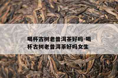 喝杯古树老普洱茶好吗-喝杯古树老普洱茶好吗女生