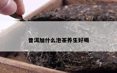 普洱加什么泡茶养生好喝