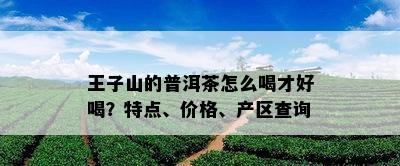 王子山的普洱茶怎么喝才好喝？特点、价格、产区查询