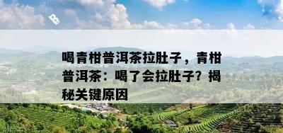 喝青柑普洱茶拉肚子，青柑普洱茶：喝了会拉肚子？揭秘关键原因