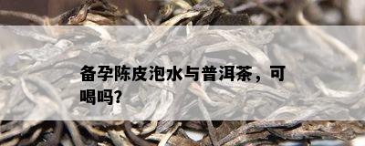 备孕陈皮泡水与普洱茶，可喝吗？