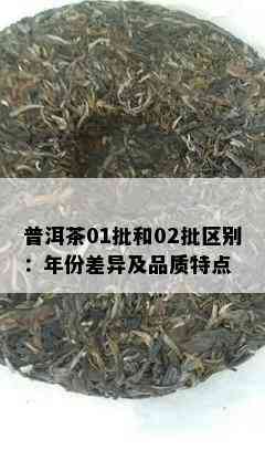 普洱茶01批和02批区别：年份差异及品质特点