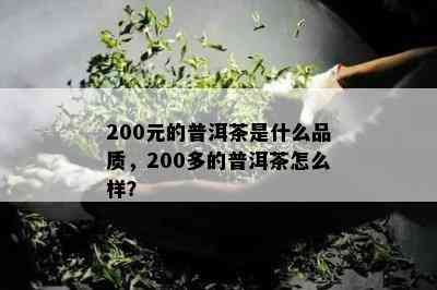 200元的普洱茶是什么品质，200多的普洱茶怎么样？